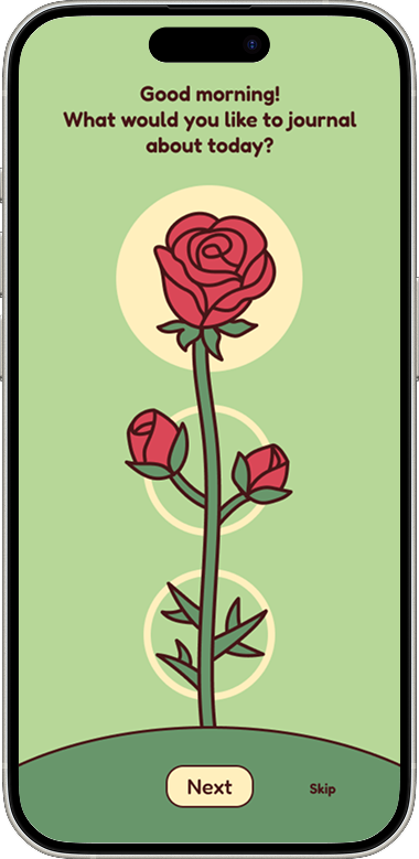 Chosen design