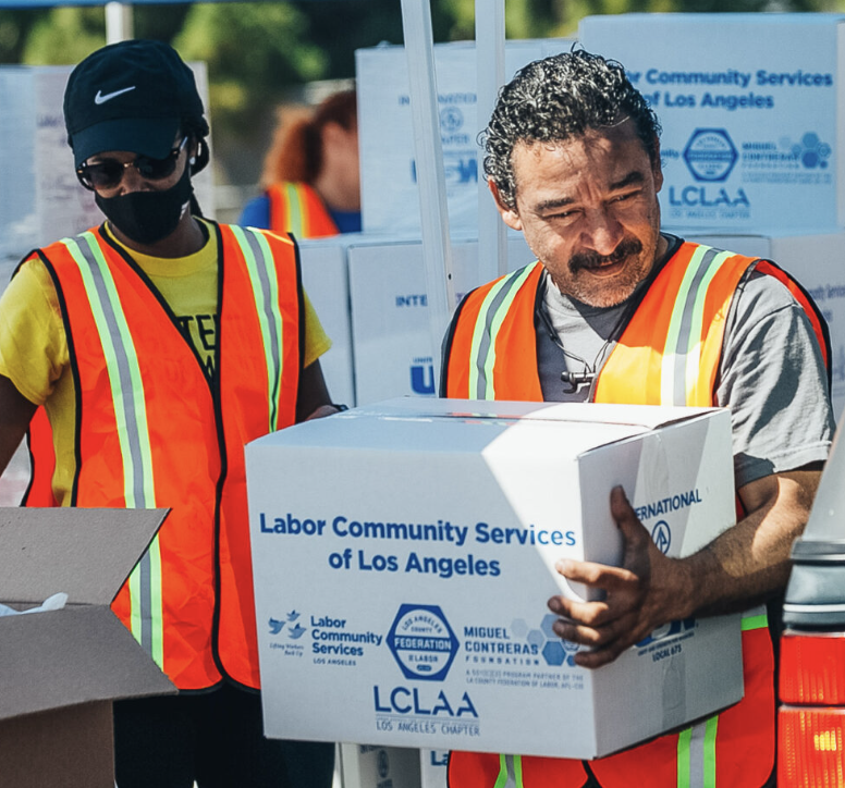 Volunteer insights